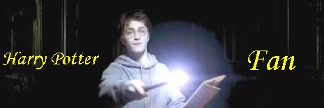 Harry Potter Fan